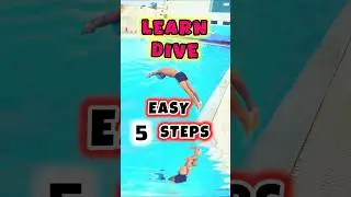 Learn to Dive in 5 Easy Steps! 🏊 | swim Like Pro  #Shorts #dive #swimming