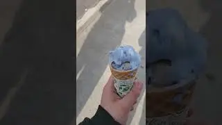 IScreem #icecream #icecone #cold #cute #yummy