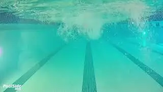 Butterfly 1 Arm Left Snorkel & Fins Dolphin Kick