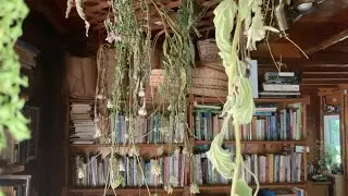 Plant Medicine Series: Snippet from an herbalist&rsquo;s daily life - Touring the herb room