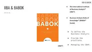 Lecture 2: IIBA & BABOK / Information Technology Business Analysis Course