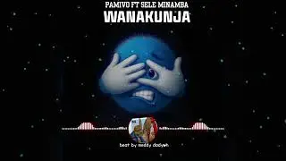 Pamivo_&times;_Sele_Minamba_-_Wanakunja[official Audio]