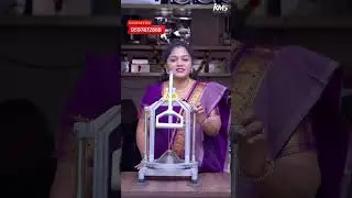 KMS Flower Onion Cutter Machine  | Blooming Onion Cutter | Cut onions like a pro #kms #businessideas