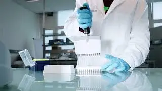 Starlab ErgoOne&reg; Manual Pipettes