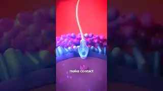 #fertilizerprocess