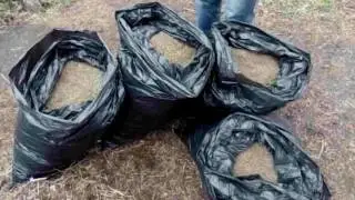 24 килограмма марихуаны изъяли сотрудники полиции у жителя Балтайского района