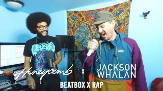 Honeycomb x Jackson Whalan - Stupid Fly (Studio Video)