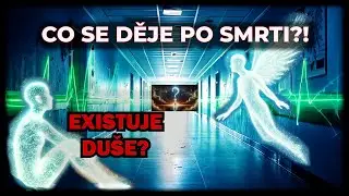 EXISTUJE DU&Scaron;E? Vědeck&eacute; pokusy, tajn&eacute; spisy a &scaron;okuj&iacute;c&iacute; z&aacute;žitky po smrti