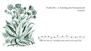 Psalm 84 &ndash; Wochenpsalm Laetare