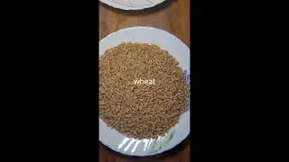High protein and essential nutrients diet#health#shorts#birds #cats#dogs