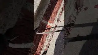 basement waterproofing water, mice, insects can easily enter into your house