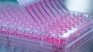 How to Generate Hybridomas in 96-Well Plates Using ClonaCell&trade;-HY Semi-Solid Cloning Medium