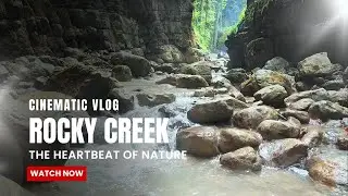 Walking a Secret Water Path in the Forest