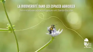 La biodiversité dans les espaces agricoles - Des initiatives agroécologiques en Sainte-Baume