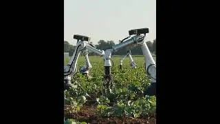 Robot  #robotfarm #automobile #farming