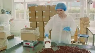 Packing Operator Jobs in Poland with Visa Sponsorship 2024 | Application Procedure and Requirements