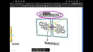 Cell the unit of life part 2 till plasma membrane 