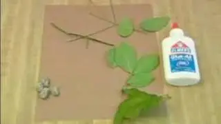 Toddler Activities & Crafts : Toddler Crafts: Making Nature Collages