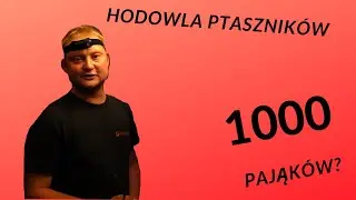 #23 NOWA SERIA - Polscy TERRARYŚCI i i ich hodowle! - Mateusz Granieczny
