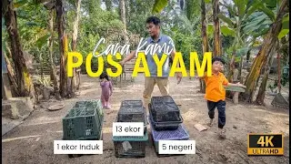 Pos Ayam ke Seluruh Semenanjung Malaysia. Ini cara kami 'Bungkus Ayam'