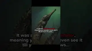 Biggest Crocodile EVER 💀