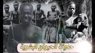 قصة اوتا بينغا (حديقة الحيوان البشرية ،🥲)