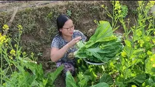 Buff Sukuti, Rayo Sag, Aalu Fry, Kalo Masko Dal & Basmati Vat (Part-1)