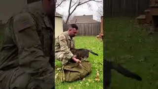 Сначала кот был в ужасе&hellip; Пока не услышал его голос ❤️
