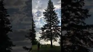 Camp Morton | Winnipeg Manitoba | Canada | #shorts #camp #exploremb