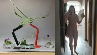 🪷 Vlog #101. 😜 Paquete de España, ikebana, cosas en mi casa 🧘‍♀️