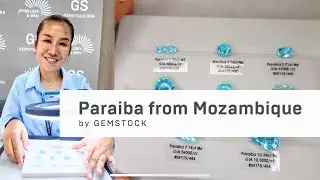 Paraiba Tourmaline Showcase | GEMSTOCK Live from ASEAN Bangkok Jewelry Show