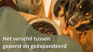 Verschil tussen geperste hondenvoeding en geexpandeerde brokken