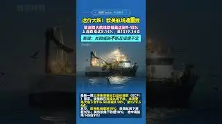 📉Shipping Rates Plunge! Major Hit to US & EU Routes 💥运价大跌！欧美航线遭重挫 #GlobalTrade #SupplyChain #Tendata
