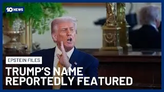 Authorities Reportedly Knew Donald Trump Was In The Epstein Files | 10 News