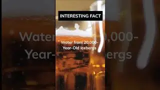 That's probably SO refreshing😌..#shorts #interestingfacts #beer #canada