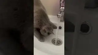 Воют вода, ой сатана