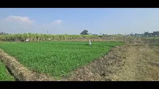 1 biga land  Sale Bhaniyawala #plotindehradun #realestate #housenlands #viral #viralvideo #highlight