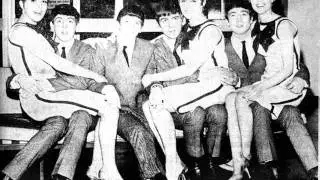 Vernons Girls - We Love The Beatles (Beatlemania)