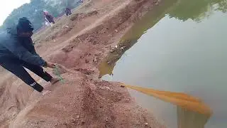 Fishing 🐟 at  local pond, New Chinese video,