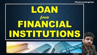 Loan from Financial Institutions in hindi | Merits and Demerits of Loan from Financial Institutions