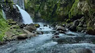 Relaxing Green Stream Flow and Forest Nature Ambience for Sleep, Deep Focus and Meditation