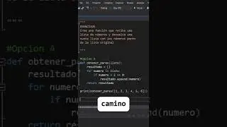 &iquest;Cu&aacute;l es el c&oacute;digo correcto? 🐍💻 pt.2 #shorts