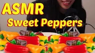 ASMR CRUNCHY Sweet Peppers!! | Eating Sounds | 먹방 Mukbang Eating Show