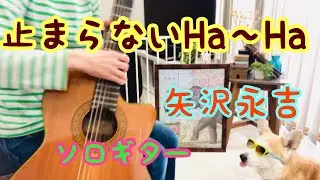 止まらないHa〜Ha / 矢沢永吉 ソロギター