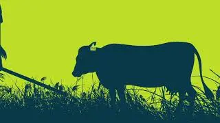 Livestock Information Introduction