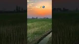 Bamla 📍Village Life😇#viral #viralvideo #villagevlog #haryana #dushyantkukreja #biggboss #bhiwani
