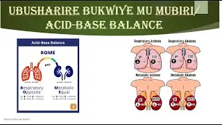 1 SAMWELI 27 & UBUSHARIRE BWO MU MUBIRI BUTUMA URWARA. ACID-BASE INBALANCE/DESEQUILIBRE ACIDE- BASE.