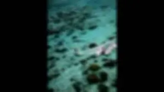 Moorea kiteboard crew long version