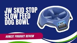An honest review of JW Skid Stop Slow Feed Dog Bowl