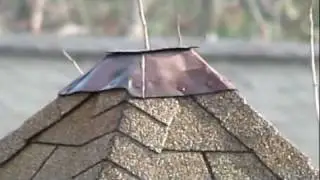 Canon SX-40 HS Zoom Demo Roof Detail